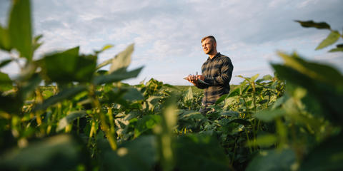 Cover photo for Vermont Working Lands Supply Chain Impact Grants